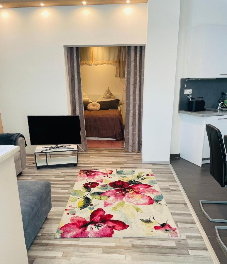 Ferienwohnung Marina An Der Romantischen Strasse ヴァイカースハイム エクステリア 写真